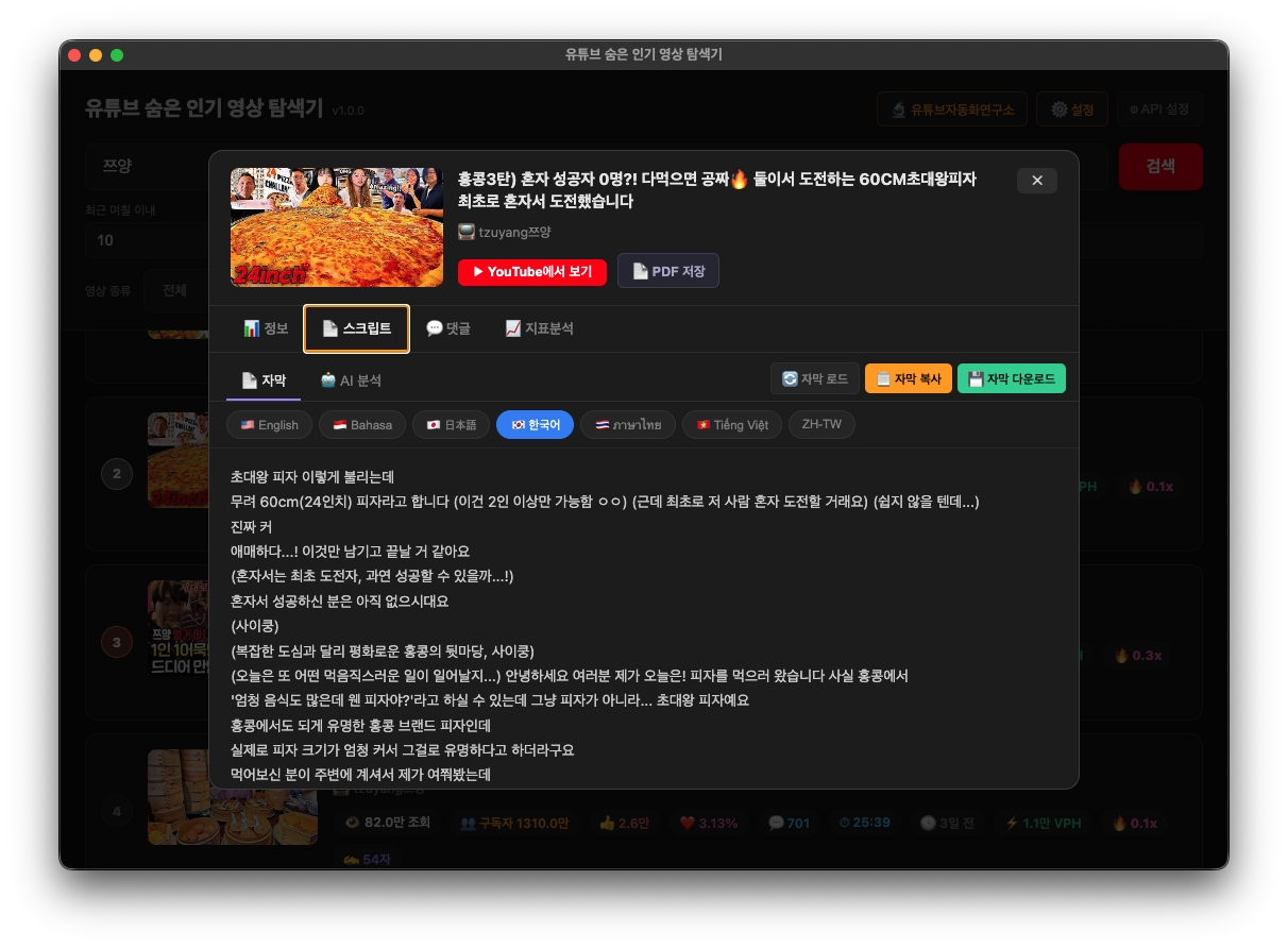 스크립트 탭 — 자막 로드 상태
